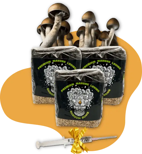 Grow Kit Image