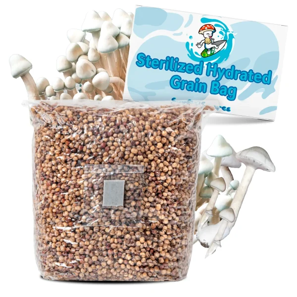 2lb Grain bag