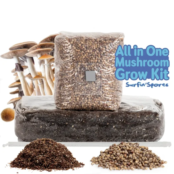 6lb Grow-in-Bag Kit - Image 3