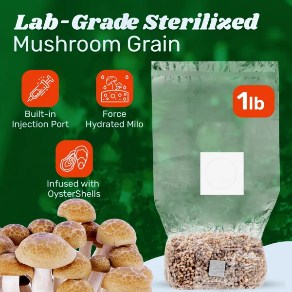 4lb Grow-in-Bag Kit - Image 3