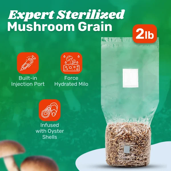 6lb Grow-in-Bag Kit - Image 7