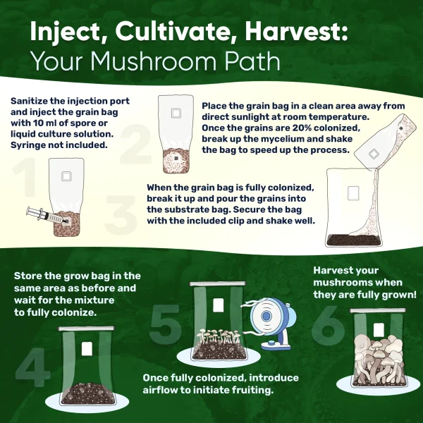 4lb Grow-in-Bag Kit - Image 5
