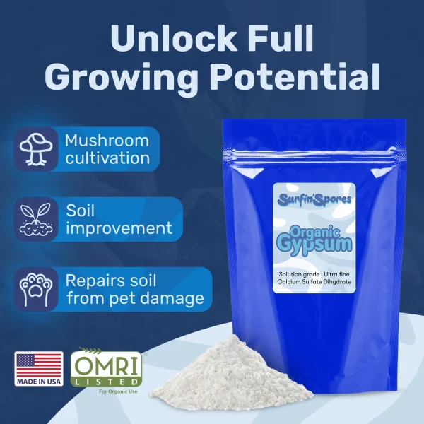 Gypsum Powder - Image 3