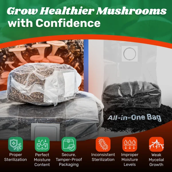 6lb Grow-in-Bag Kit - Image 4