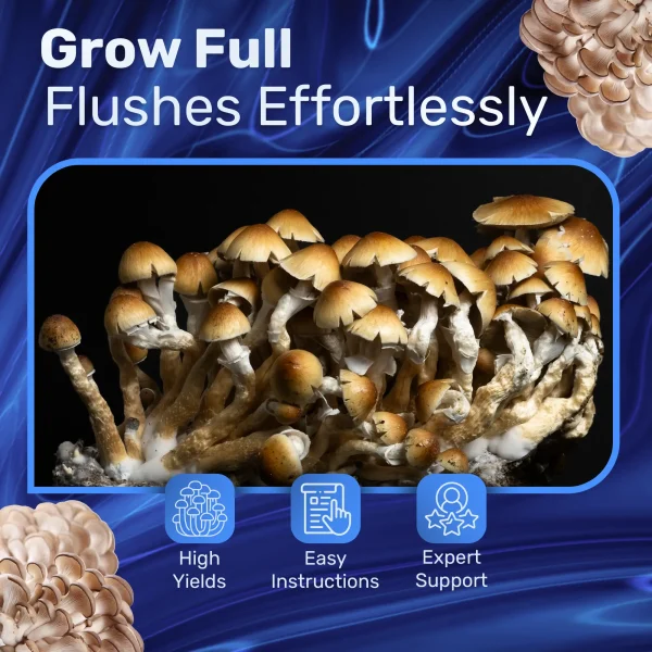 4lb Grow-in-Bag Kit - Image 6