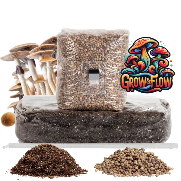 6lb Grow-in-Bag Kit