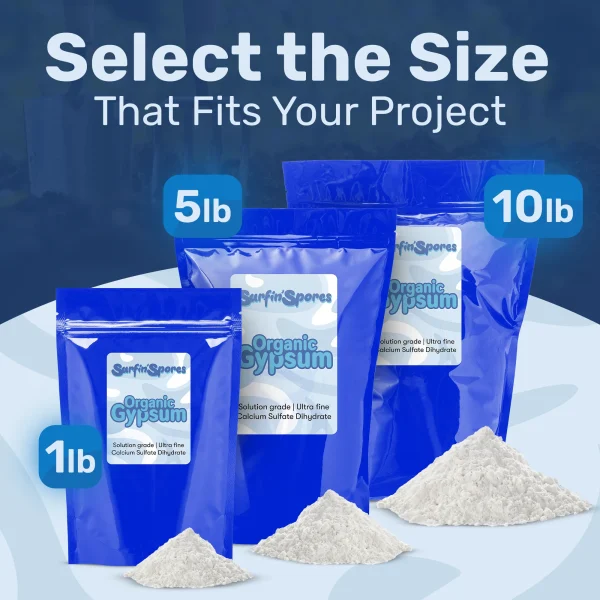 Gypsum Powder - Image 2