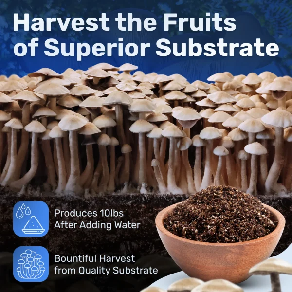 Dry Substrate Mix - Image 2