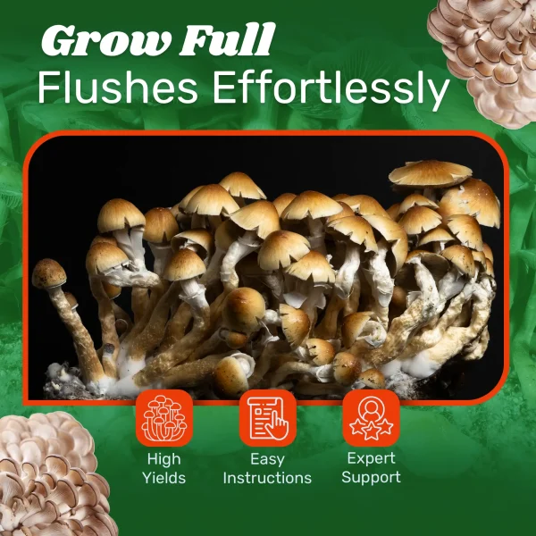 4lb Grow-in-Bag Kit - Image 7