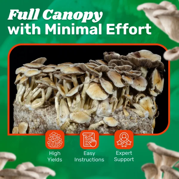 6lb Grow-in-Bag Kit - Image 3