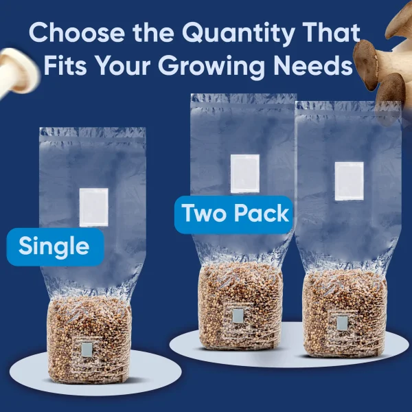 2lb Grain Bags - Image 6