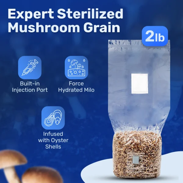 6lb Grow-in-Bag Kit - Image 6