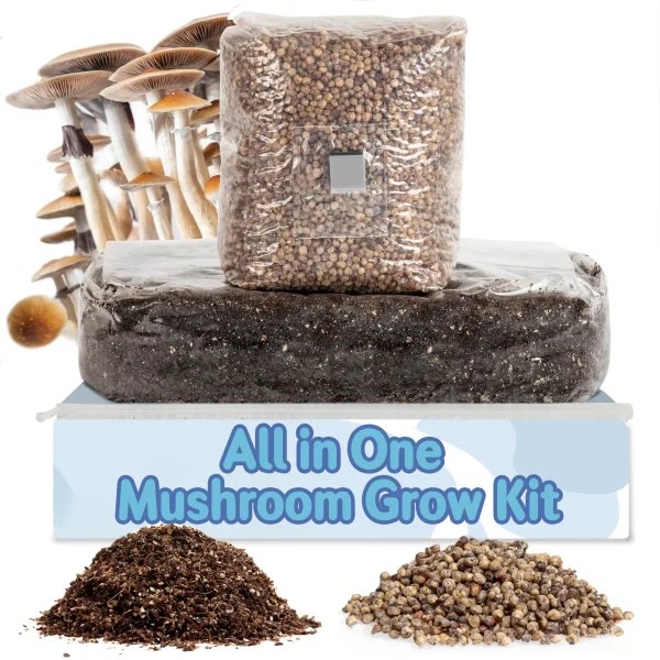 6lb Grow-in-Bag Kit