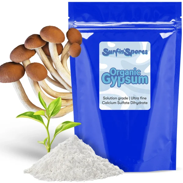 Gypsum Powder