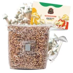 2lb Grain Bags