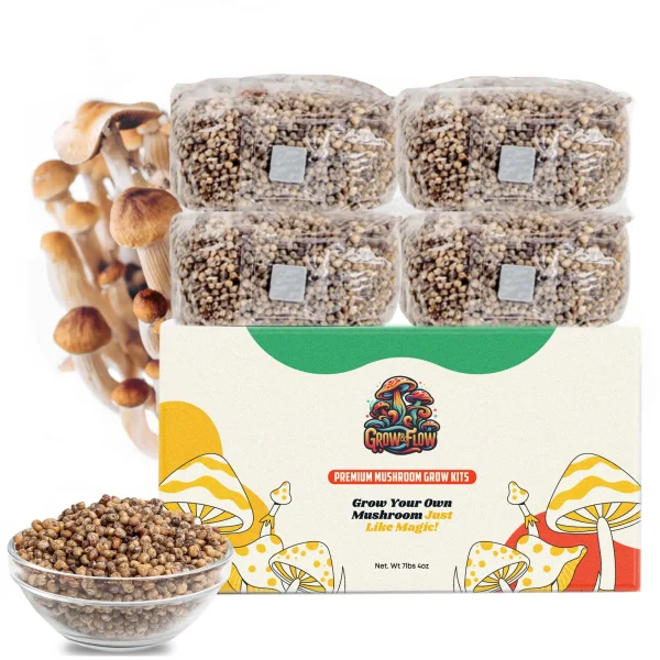 1lb grain