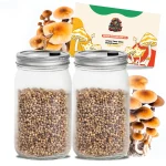 Sterile Grain Jars