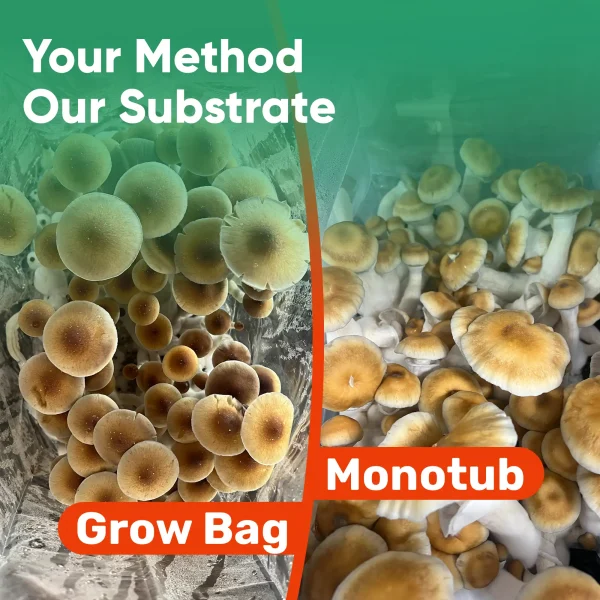 Bulk Substrate - Image 3