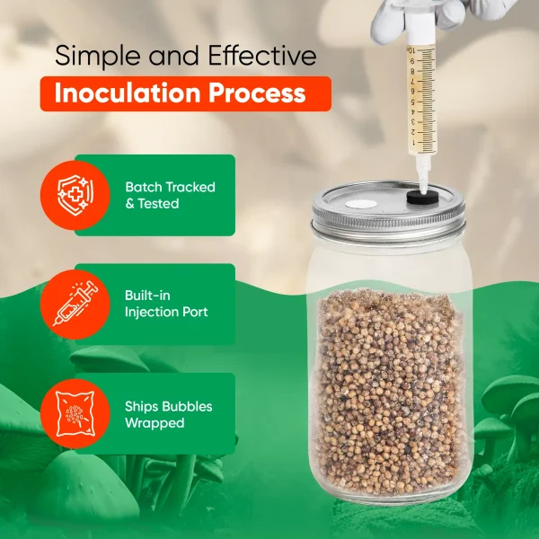 Sterile Grain Jars - Image 3