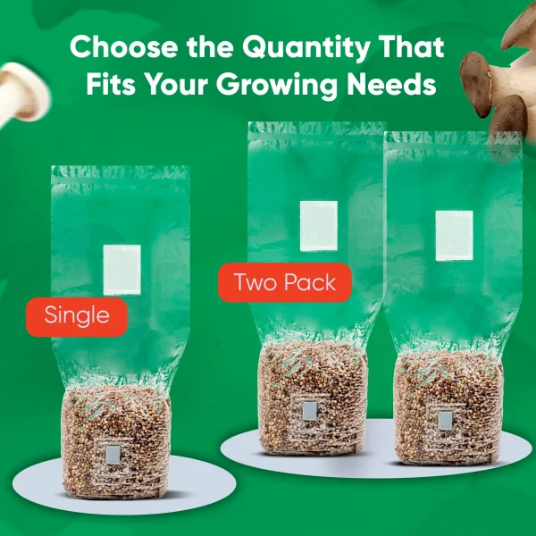 2lb Grain Bags - Image 6