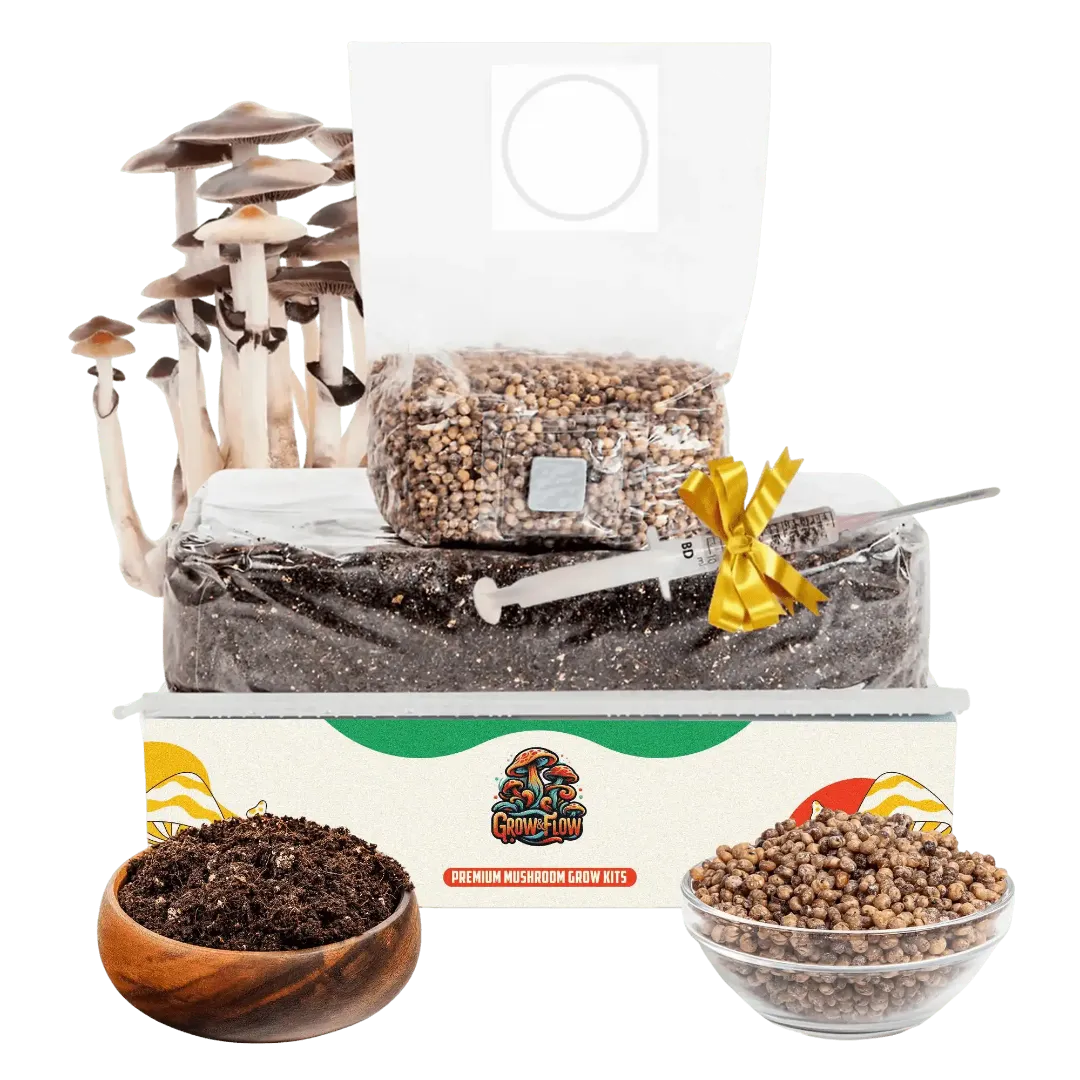 Grow and Flow Kits Hero Image